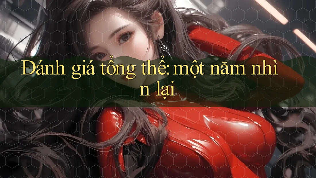 Đánh giá tổng thể: một năm nhìn lại Đánh giá tổng thể: một năm nhìn lại