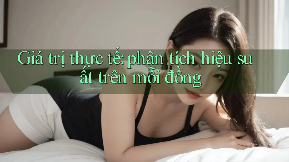 Giá trị thực tế: phân tích hiệu suất trên mỗi đồng