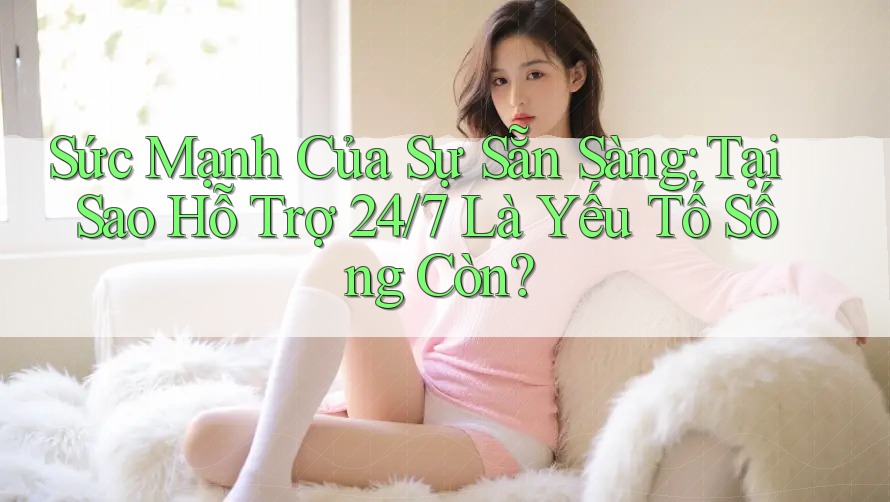 Sức Mạnh Của Sự Sẵn Sàng: Tại Sao Hỗ Trợ 24/7 Là Yếu Tố Sống Còn?