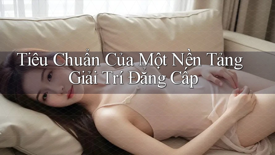 Tiêu Chuẩn Của Một Nền Tảng Giải Trí Đẳng Cấp
