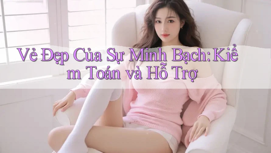 Vẻ Đẹp Của Sự Minh Bạch: Kiểm Toán và Hỗ Trợ