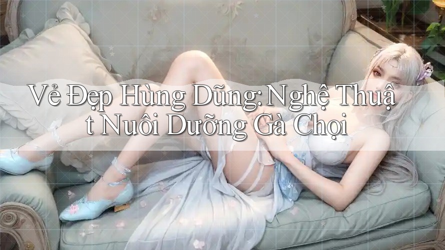 Vẻ Đẹp Hùng Dũng: Nghệ Thuật Nuôi Dưỡng Gà Chọi Vẻ Đẹp Hùng Dũng: Nghệ Thuật Nuôi Dưỡng Gà Chọi