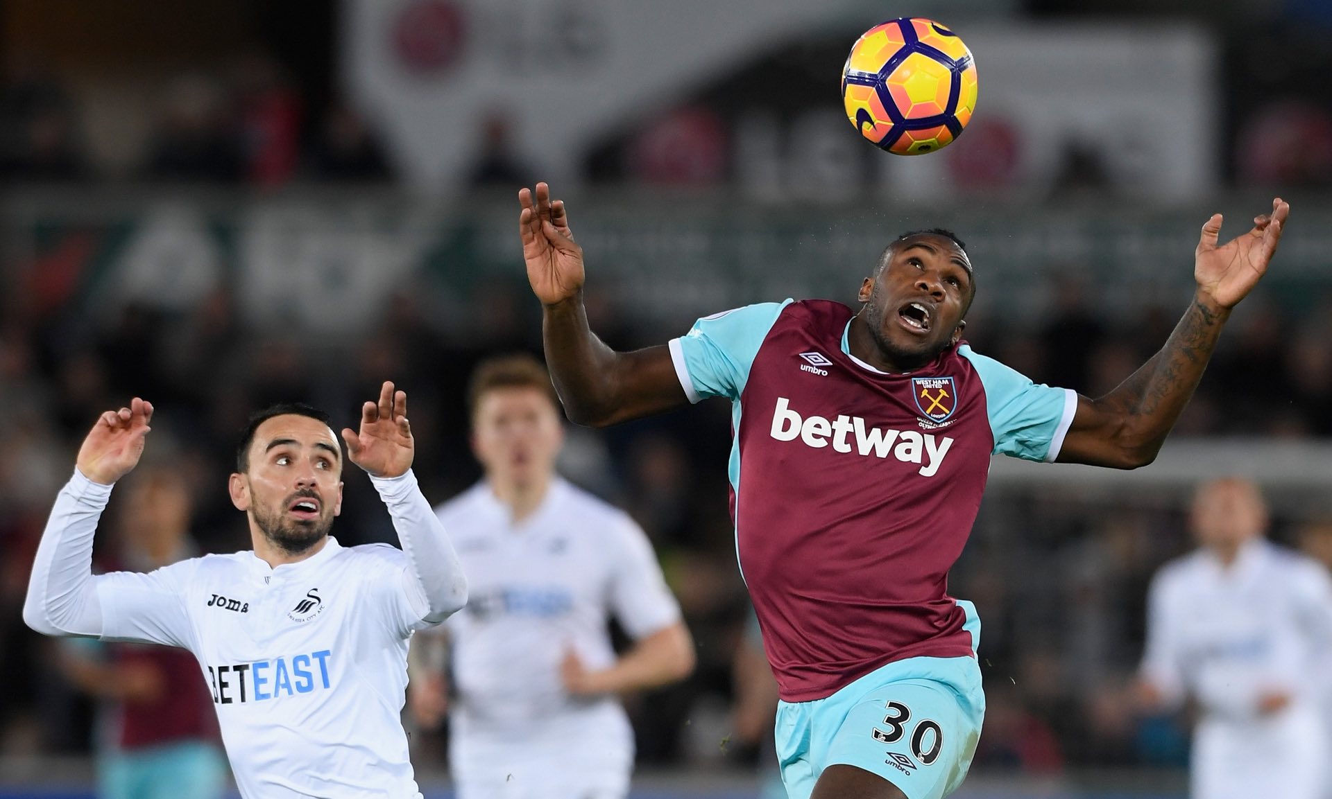 活运用的比 活运用的比