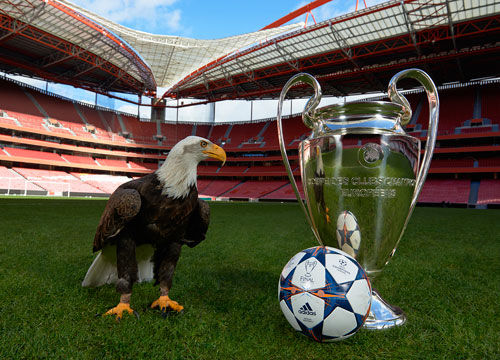 杨瀚森的突破瞬间：顶开对手，展现非凡实力（杨瀚森的高光突破：顶开对手，实力尽显）